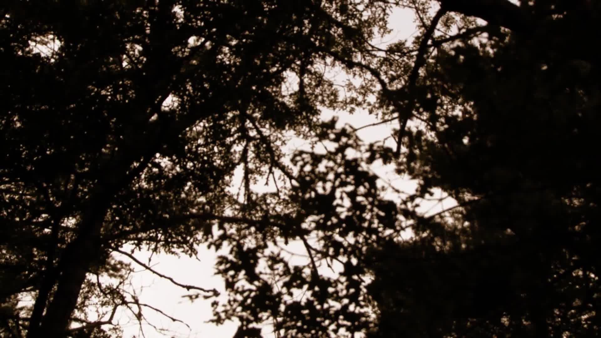 Bildschirmfoto 1