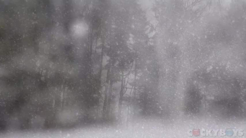 Bildschirmfoto 2