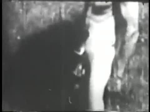 Yechinish bilan ichki kiyimlar namoyishi Transvestitlar ishtirokidagi HD porno videolar