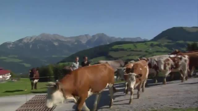 Bildschirmfoto 13